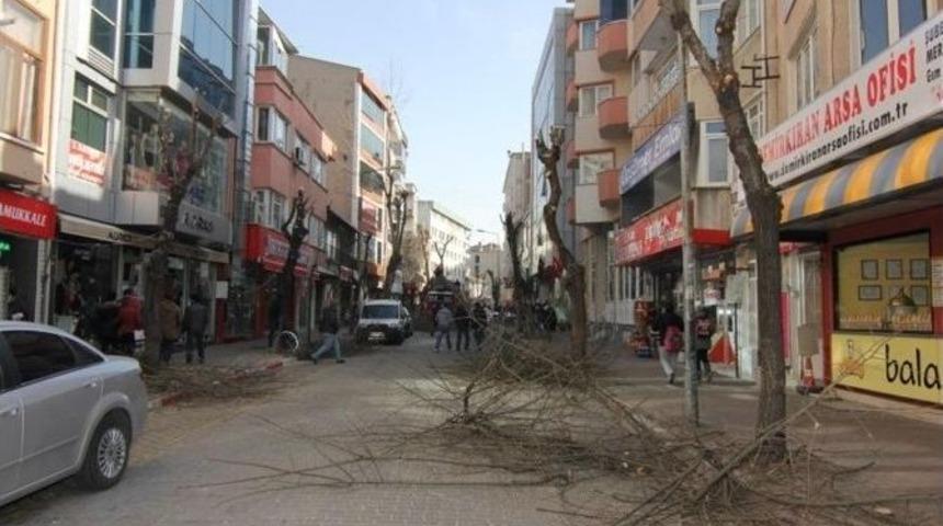 Kırklareli&rsquo;nde Ağa&ccedil; Budama &Ccedil;alışmaları Devam Ediyor