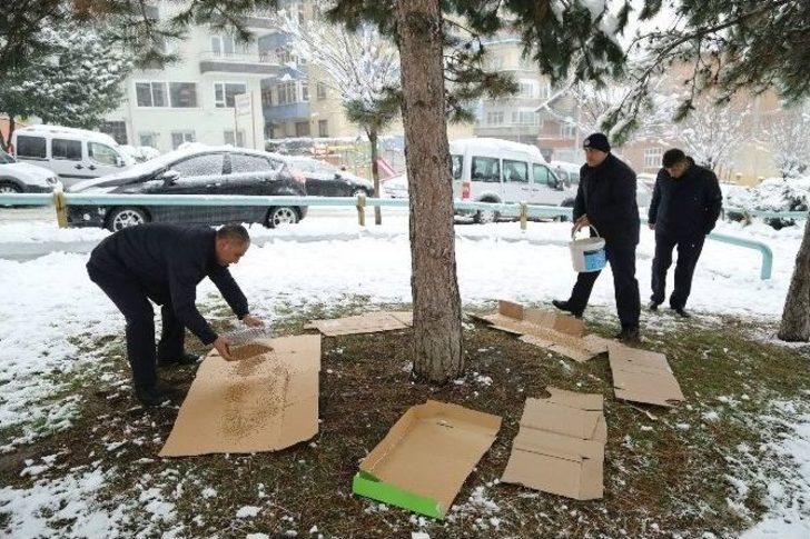 İlkadım’dan Sokak Hayvanlarına Yiyecek Desteği G3