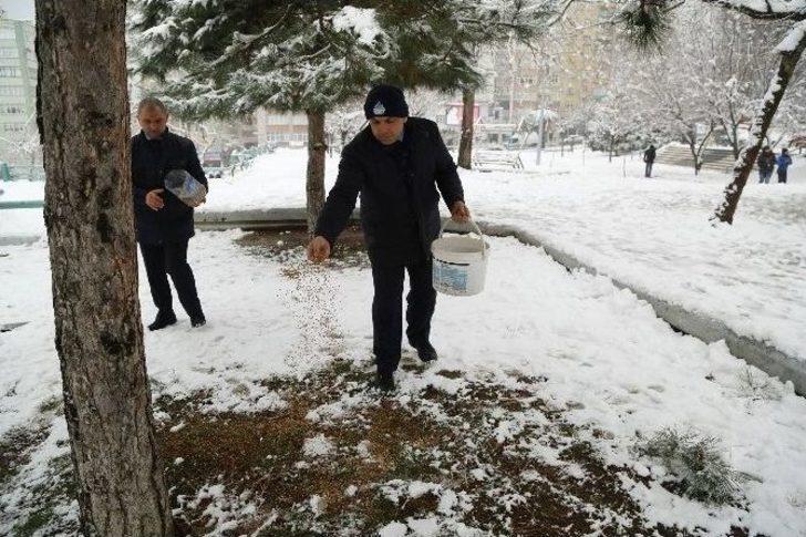 İlkadım’dan Sokak Hayvanlarına Yiyecek Desteği G5