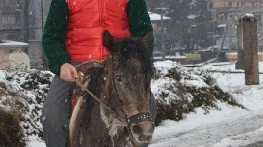 (&ouml;zel Haber) &Ccedil;alıştığı İş Yerine Atı R&uuml;zgarla Geldi