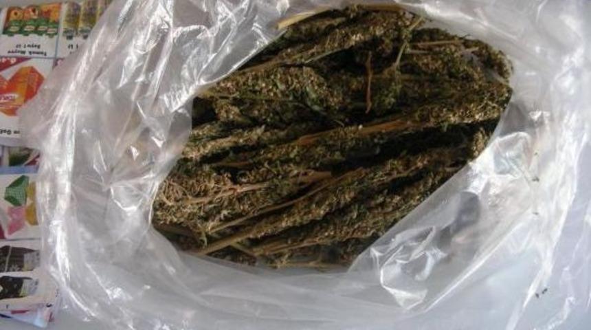 Niğde'de Uyuşturucu Operasyonu: 20 G&ouml;zaltı