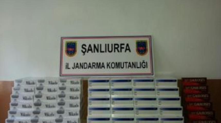 Ceylanpınar'da Minib&uuml;ste Ka&ccedil;ak Sigara Ele Ge&ccedil;irildi