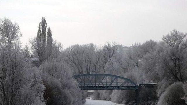 Kars’ta Ağaçlar Kırağı Tuttu