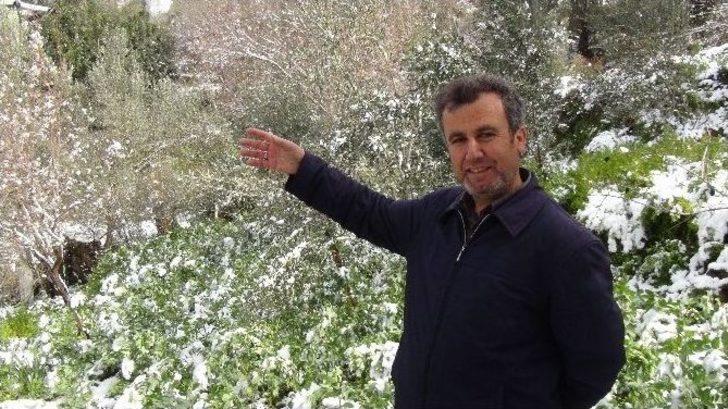 Antalya’da Kar Çiçek Açan Ağaçları Beyaza Bürüdü G3