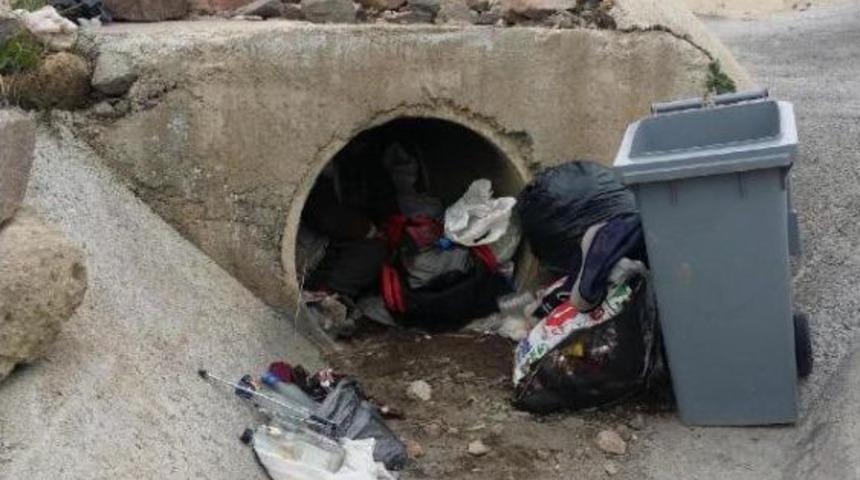 Su Tahliye Kanalında Yaşam Savaşı