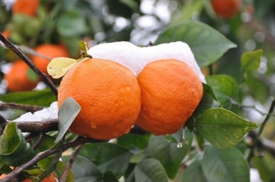 Mersin&rsquo;de Kar Afete D&ouml;n&uuml;şt&uuml;