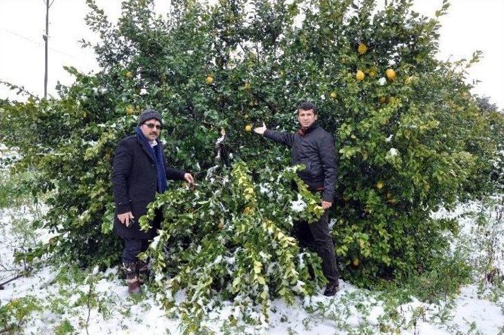 Mersin’de Kar Afete Dönüştü G5