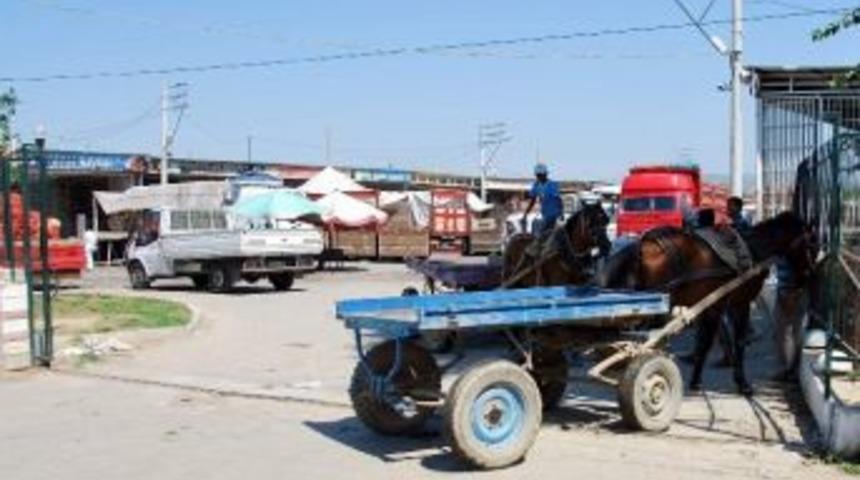 Halden Menderes&rsquo;in İsmini Kaldıran M&uuml;d&uuml;r G&ouml;revden Alındı