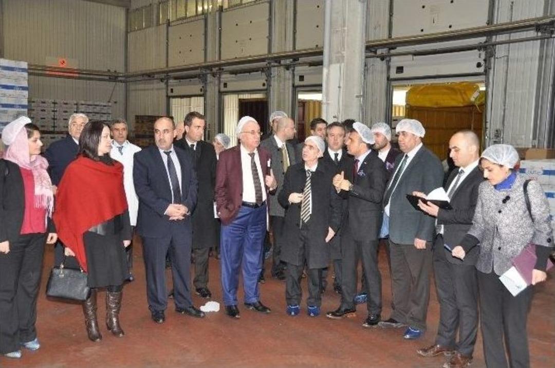 Kuzey Iraklı Parlamenterlerden Bizce Yağa Tam Not