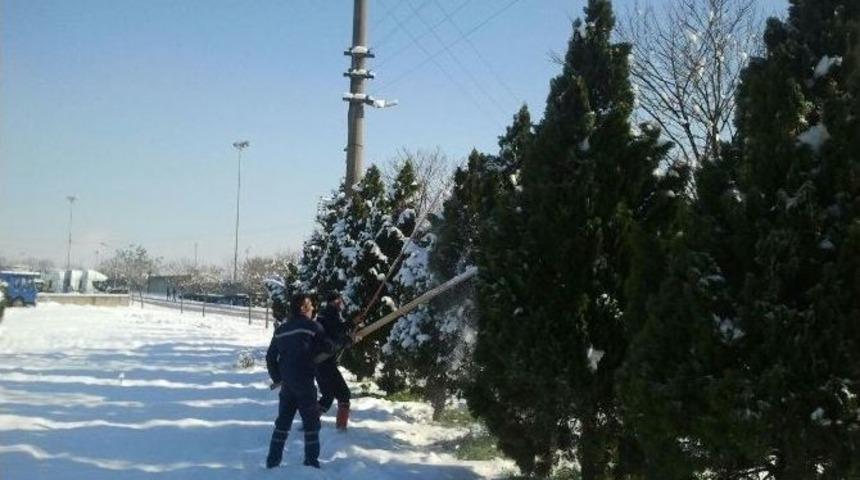 Kartepe&rsquo;de Ağa&ccedil;lara Kar Bakımı