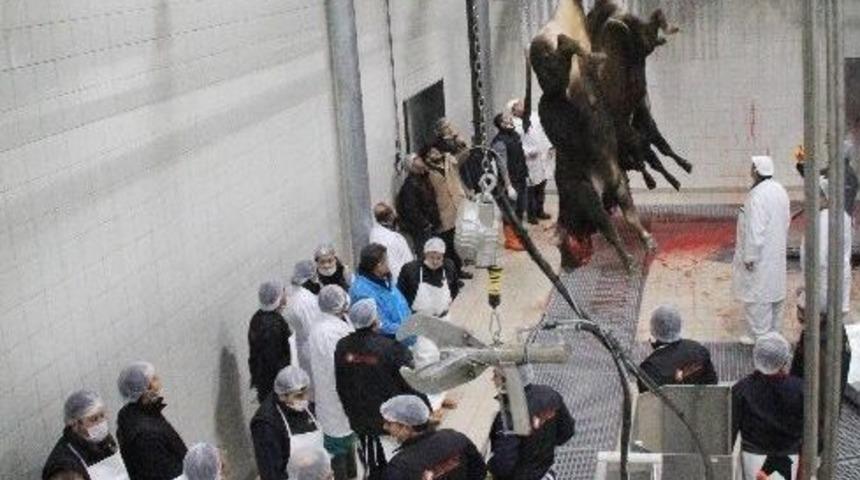 Konya&rsquo;ya Yeni Et Entegre Tesisi