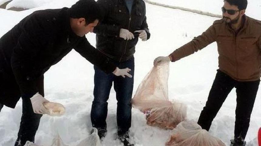 Kayseri'de Yaban Hayvanları I&ccedil;in Doğaya Yem