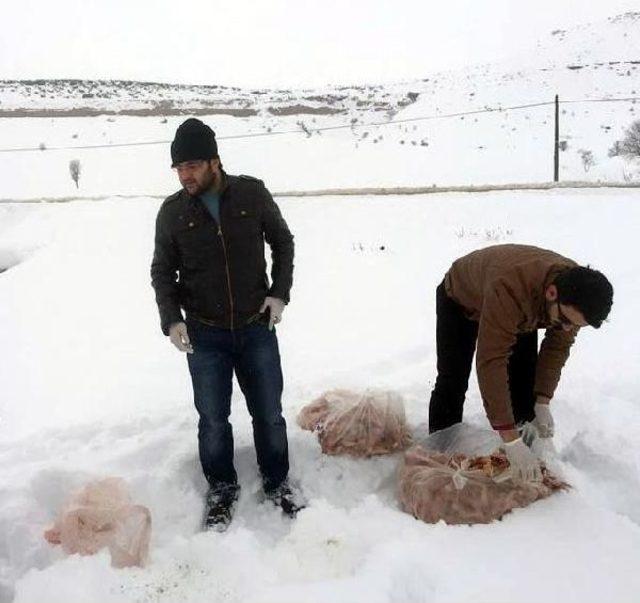 Kayseri'de Yaban Hayvanları Için Doğaya Yem