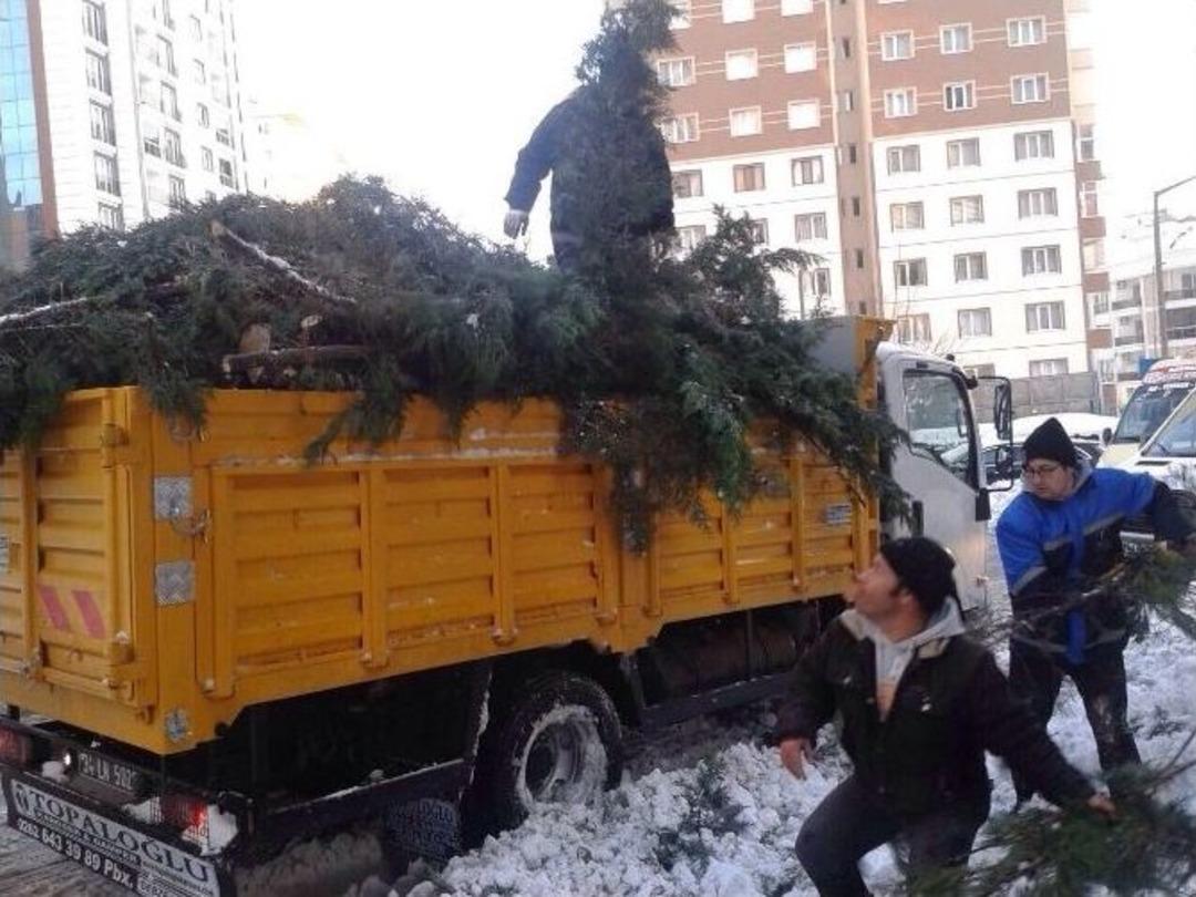 Karda Devrilme Tehlikesi Olan Ağa&ccedil;lara M&uuml;dahale Edildi
