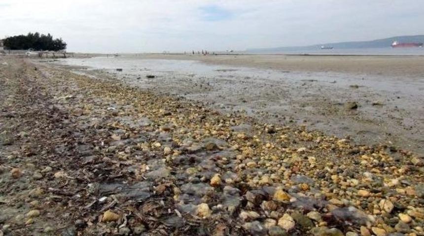 Cemre Havaya D&uuml;şt&uuml;, Deniz Suyu &Ccedil;ekildi