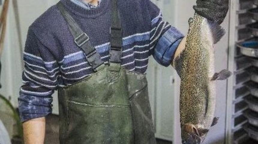 Alabalığın Yetişme Aşamaları G&ouml;renleri Adeta B&uuml;y&uuml;l&uuml;yor