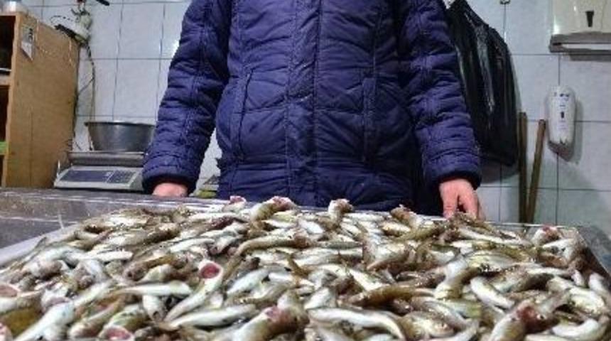 K&ouml;t&uuml; Hava Şartları Balık&ccedil;ıları Vurdu