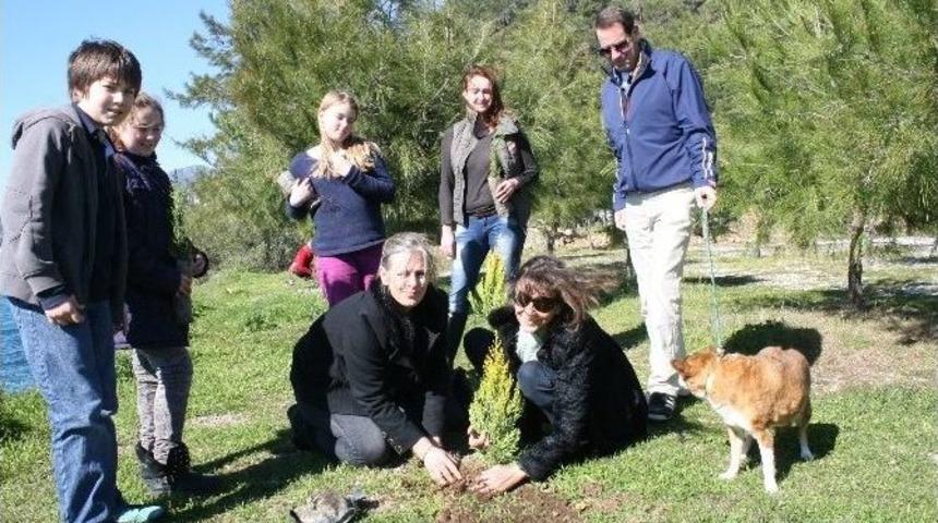 Marmaris&rsquo;te Yerleşik Yabancılar &Ouml;zgecan İ&ccedil;in Fidan Dikti