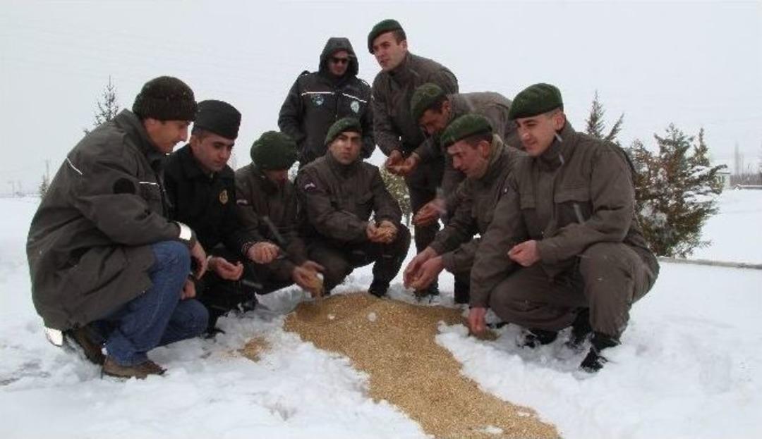 Karaman&rsquo;da Yaban Hayvanlarına Yem Desteği