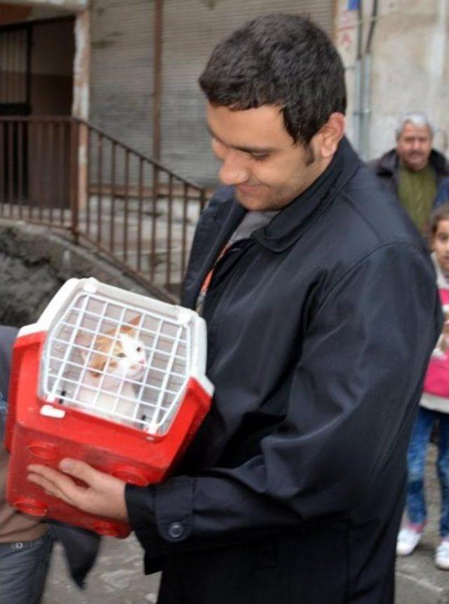 Diyarbakır'da 20 Gündür Evde Mahsur Kalan Kedi Kurtarıldı