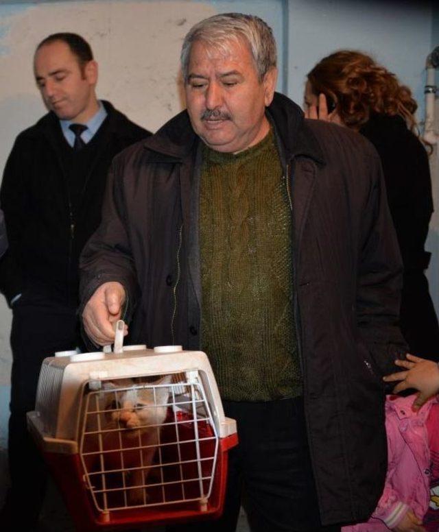 Diyarbakır'da 20 Gündür Evde Mahsur Kalan Kedi Kurtarıldı