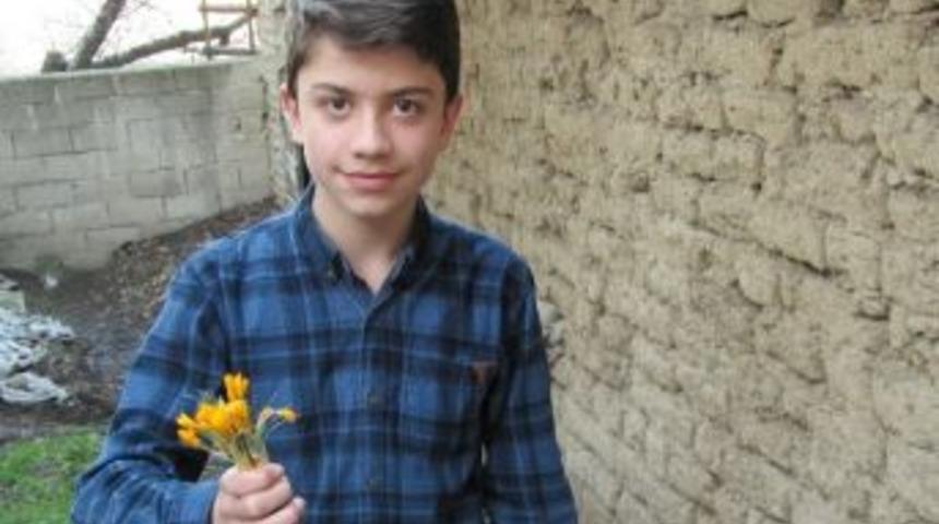 Baharın M&uuml;jdecisi &Ccedil;iğdemler &Ccedil;i&ccedil;ek A&ccedil;tı