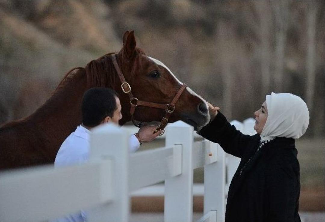 Emine Erdoğan, Atla Tedavi Merkezini Ziyaret Etti
