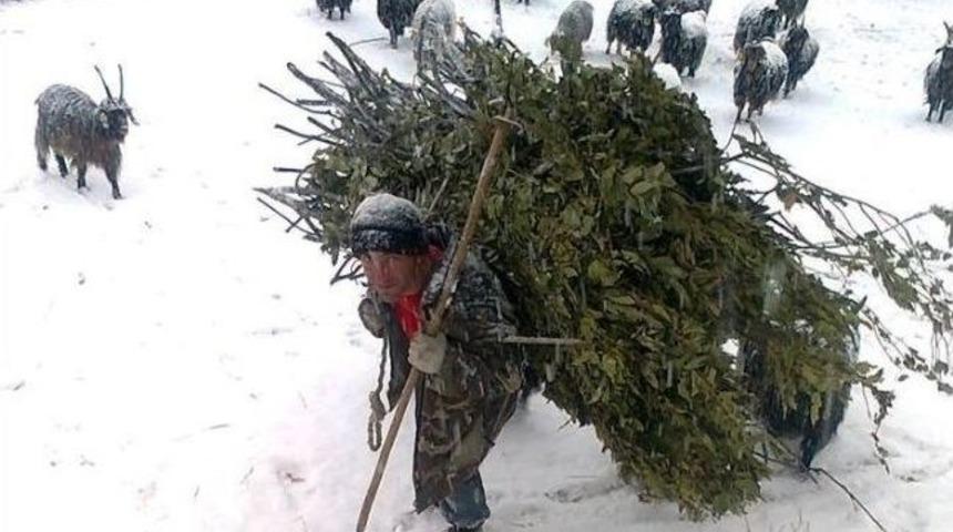 Kar Yağışı &Ccedil;ift&ccedil;ileri Sevindirdi