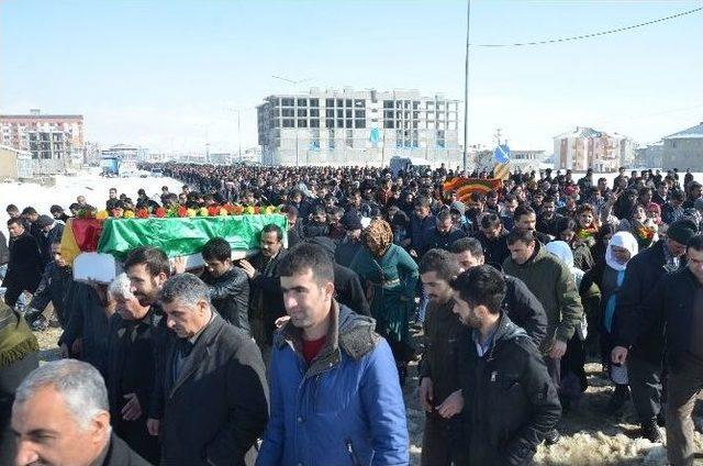Kobani’de Hayatını Kaybeden Ypg’li Yüksekova’da Toprağa Verildi