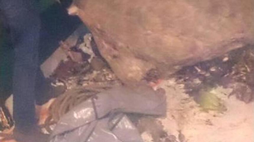 Trol Ağlarına Ceset Takıldı