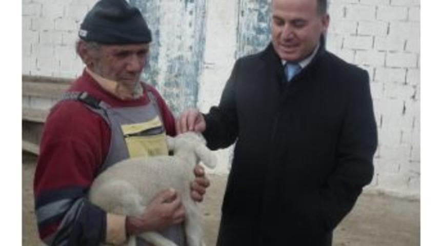 Koyun Eti &Uuml;retimi Azaldı