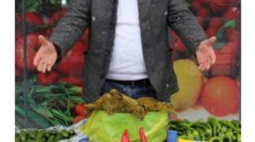 Kar Yağışı Sebze Fiyatlarını Vurdu