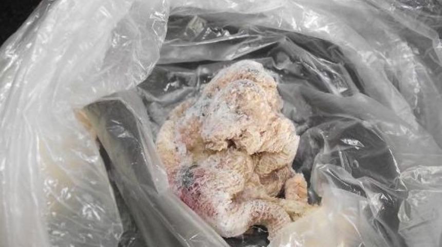 Boğazında Gazlı Bez Unutulan Minik Timu&ccedil;in &Ouml;l&uuml;mden D&ouml;nd&uuml;