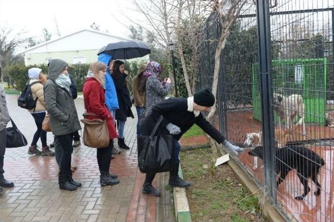 Geleceğin Veteriner Adaylarına Uygulamalı Eğitim