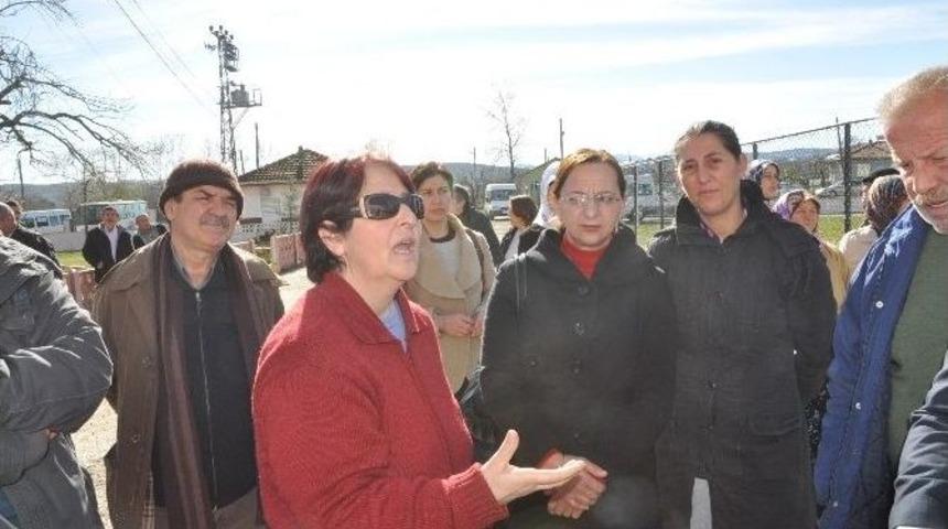 Sinop’ta Yibo’da Mülteci Krizi