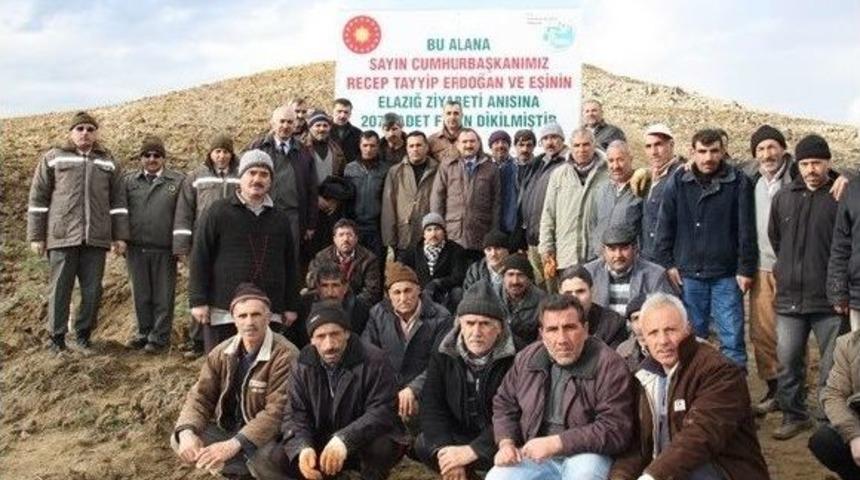 Cumhurbaşkanı Erdoğan İ&ccedil;in 2 Bin 71 Fidan Dikildi