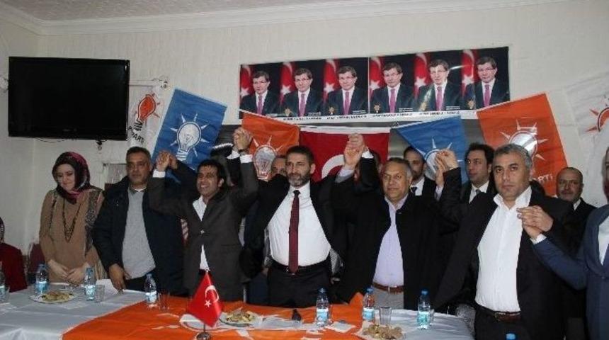 Romanlar Siyasete Giriyor