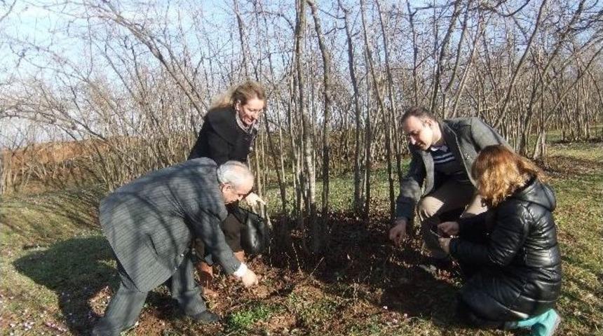 Fındıkta Tarla Okulu Başlatıldı