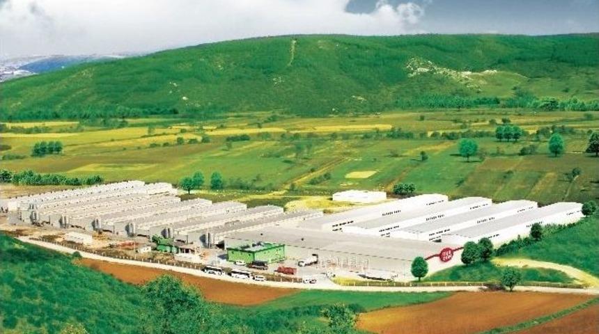 T&uuml;keticilerden &ldquo;helal Yumurta&rdquo;ya B&uuml;y&uuml;k İlgi