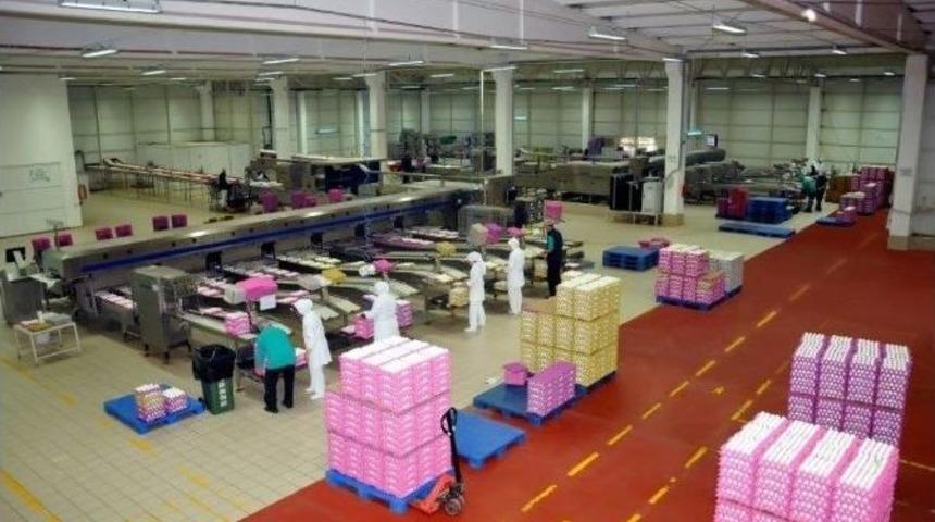 Tarihli Yumurtalar Raflarda