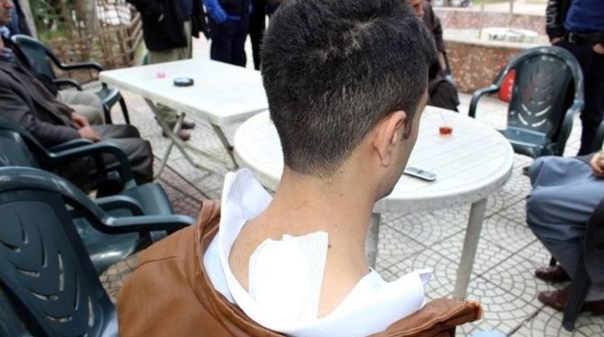 Adıyaman&rsquo;da Domuz 3 Kişiyi Hastanelik Etti