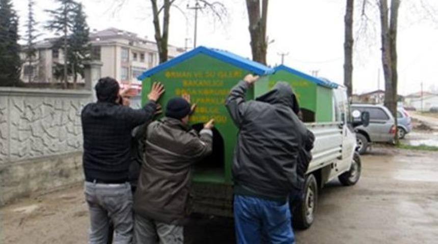 Sokakta Ki Hayvanlara Kul&uuml;be