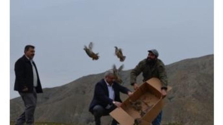 Pertek Belediyesi&rsquo;nden Yaban Hayatını Koruma Ve Geliştirme &Ccedil;alışmaları