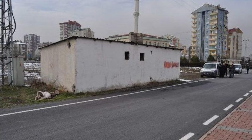 Oyun Oynayan &Ccedil;ocuklar U&ccedil;aksavar Mermisi Buldu