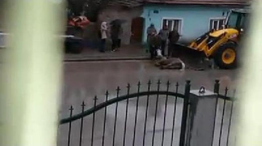 At, Kep&ccedil;eyle Kamyona B&ouml;yle Atıldı