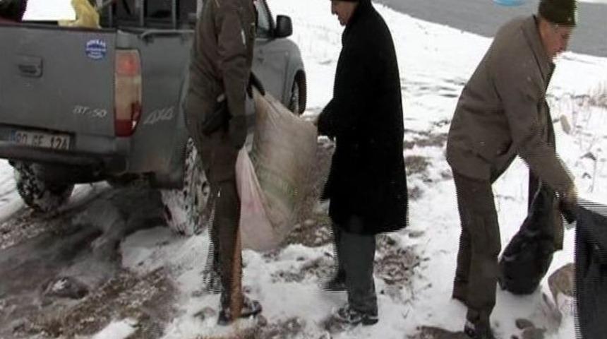Yabani Hayvanlara 2 Yılda 7 Ton Yem Bırakıldı