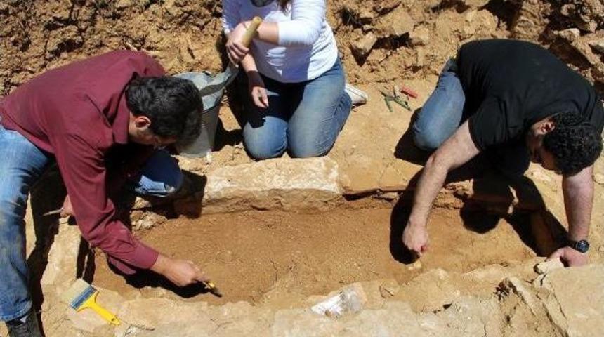 Yol &Ccedil;alışmasında Bulunan Iskeletler &Uuml;niversitede Incelenecek