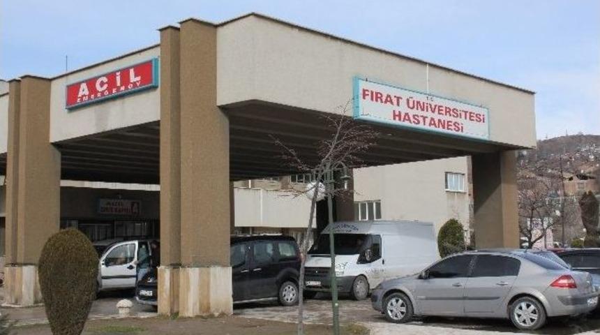 Kurt Saldırısına Uğrayan Yaşlı Adam Öldü