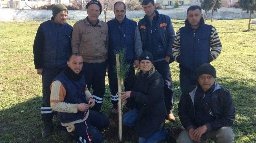 Efeler Belediyesi Mezarlıkları Düzenliyor