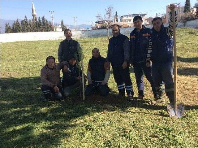 Efeler Belediyesi Mezarlıkları Düzenliyor